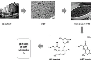 一種紅曲菌利用麥糟產降脂成分Monacolin K的方法