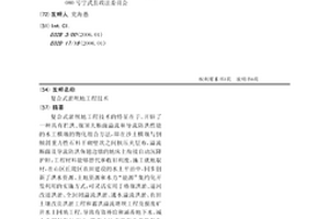 復合式淤壩地工程技術