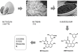 一種紅曲菌利用柚子副產物產降脂成分Monacolin K的方法