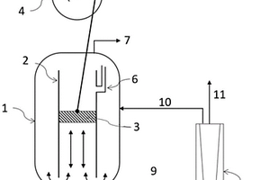 用于動物細胞培養的生物反應器