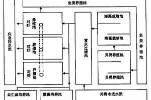一種蝦-魚-貝-藻多元養殖及其水質生物調控系統