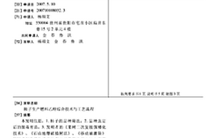柿子生產燃料乙醇綜合技術與工藝流程