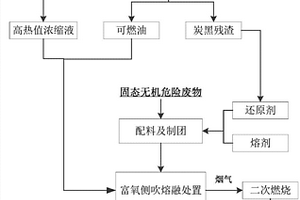 一種危險廢物的熔融處置方法