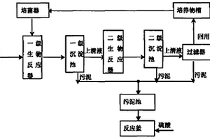 一種復合功能菌處理危險廢物砷廢液的方法