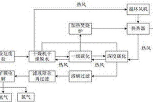 工業危廢鹽處置及資源化回收利用的裝置與方法