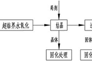 含重金屬、毒性有機物的液體危險廢物的處理方法
