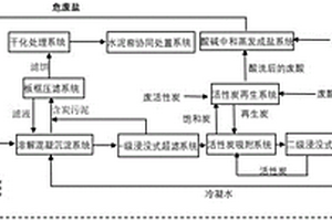 一種廢鹽、廢酸、廢堿、廢活性炭的協同處置資源化系統