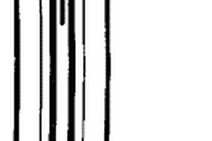 廢氣處理系統燃燒室結構