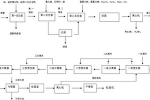 廢酸的資源化利用工藝