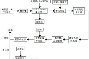 一種高氨氮、高COD廢液處理技術