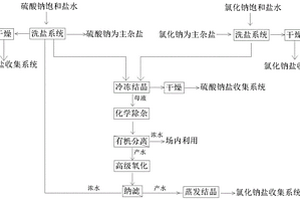 一種廢鹽資源化處理工藝及其專用設備