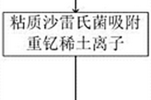 一種從低濃度重釔稀土廢水中回收稀土的生物方法