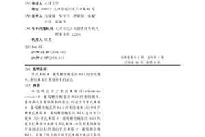 里氏木霉β-葡萄糖苷酶基因BGL1的重組載體、重組菌及在重組菌中的表達