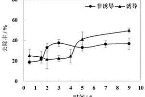 一種磺胺類抗生素降解菌及其應用