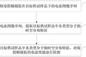 瓊脂糖凝膠的電泳性能檢測方法及相關設備