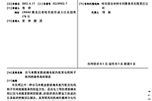 雙馬來酰亞胺玻璃布板汽輪發電機轉子匝間絕緣墊條的制造
