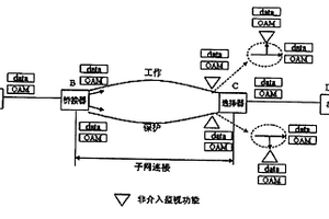 在多協議標簽交換中實現子網連接保護的方法和系統