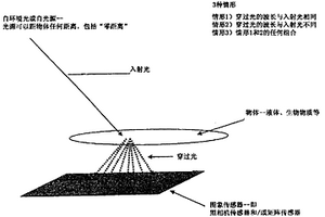 用于测量化学浓度、化学饱和度和生物物理参数的光学传感器装置和图象处理单元