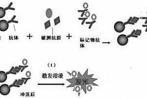 多指標聯檢化學發光免疫試劑盒及其制備方法