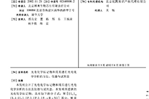 光電化學標記物和用其進行光電化學分析的方法、儀器與試劑盒