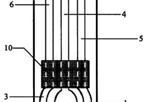測定血鉛濃度的集成型一次性電化學傳感器