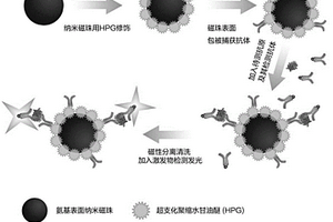 超支化聚縮水甘油醚修飾納米磁性微球在化學發光免疫分析中的應用