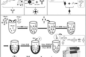 基于磁微粒氫化可的松化學發光免疫分析方法及試劑盒