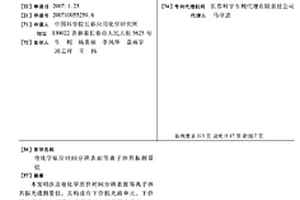 電化學原位時間分辨表面等離子體共振測量儀