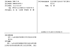 HIV-1 P24抗原吖啶酯化學發光免疫分析檢測方法