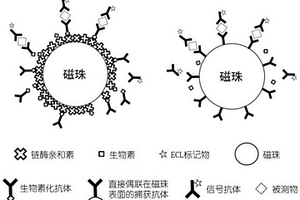 電化學發光免疫分析試劑盒及其使用方法