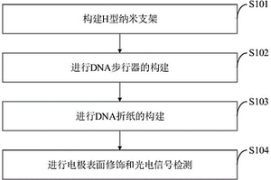 RNA中m5C和m6A雙重分析邏輯光電化學傳感方法