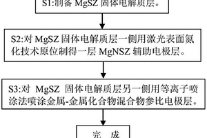 用于測定氮含量的電化學傳感器及其制備方法