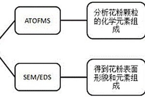花粉顆粒表面形貌和化學元素組成的分析方法和裝置