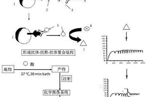 高靈敏度酶聯免疫吸附分析方法