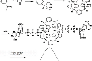 雙核鈾酰配合物在ATP分析中的應用
