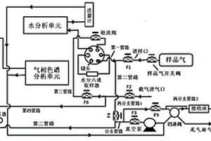 氣體中微量永久性雜質氣體和水的一體化分析系統及其使用方法
