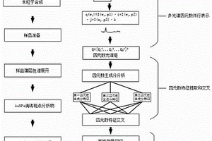 基于四元數主成分分析的TLC-SERS定量建模方法