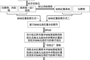 具有普適性的表面增強拉曼光譜定量分析方法