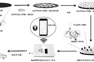 智能手機分析重金屬離子毒性的電化學細胞傳感器