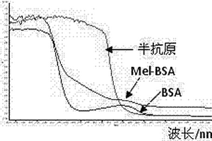 用于三聚氰胺殘留免疫分析的人工抗原和抗體及其制備方法