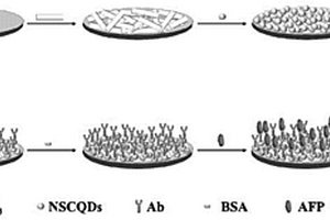 基于NSCQDs/Bi<sub>2</sub>S<sub>3</sub>的光電化學傳感器及其制備與應用