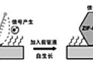 外泌體分析用MOF電化學傳感器及其制備與應用