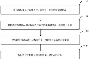 分析晶粒特征的方法