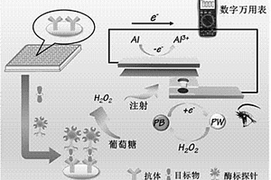 基于鋁-普魯士藍自供能電化學傳感器構建的免疫分析方法