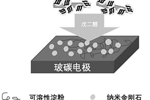 酶電極、電化學生物傳感器、水中苯酚濃度的分析方法