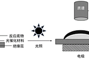 光電化學反應中間體的陣列芯片質譜聯用分析方法
