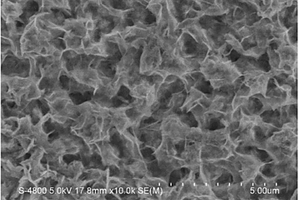 氧化鋅納米薄膜的制備方法、電化學傳感器電極以及電化學傳感器