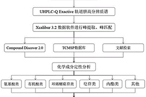 快速識別驢膠補血顆粒中化學成分的方法