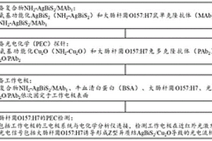 近紅外光電化學傳感平臺的構建方法和應用