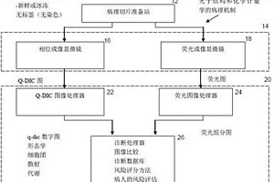 光子結構和化學計量學病理系統